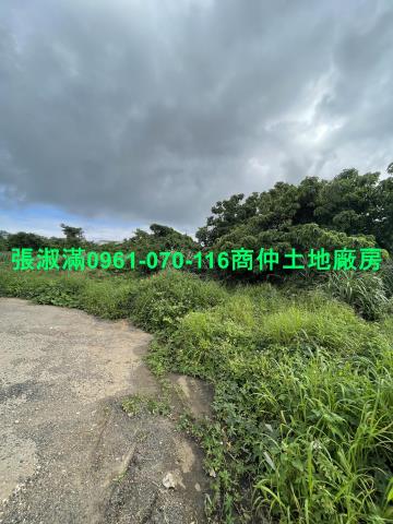 楊梅建地-4