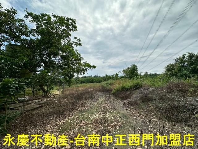 高雄農地-11