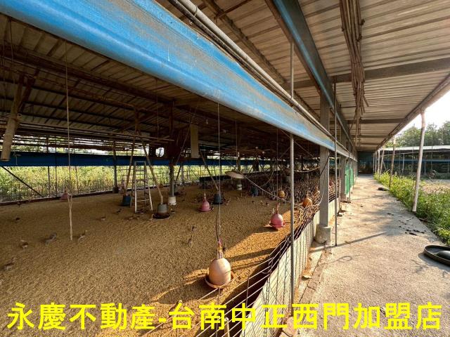 高雄農地-14