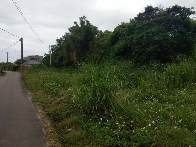 桃園大園工業地-2