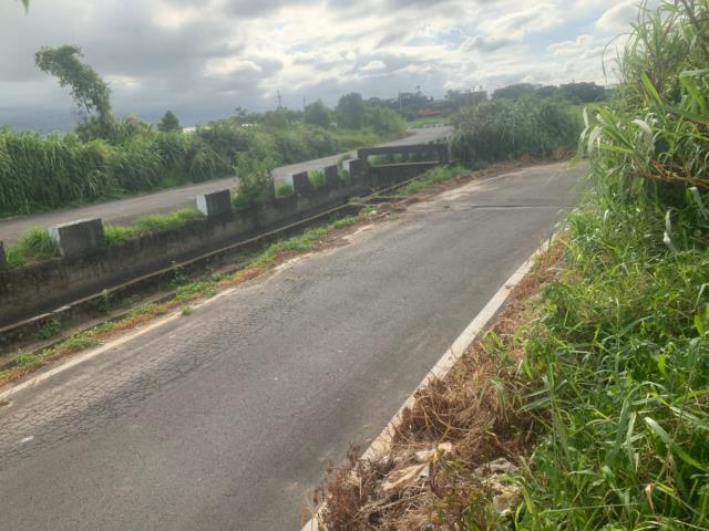 蘆竹工業地-2