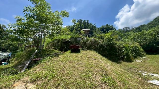 苗栗農地-3