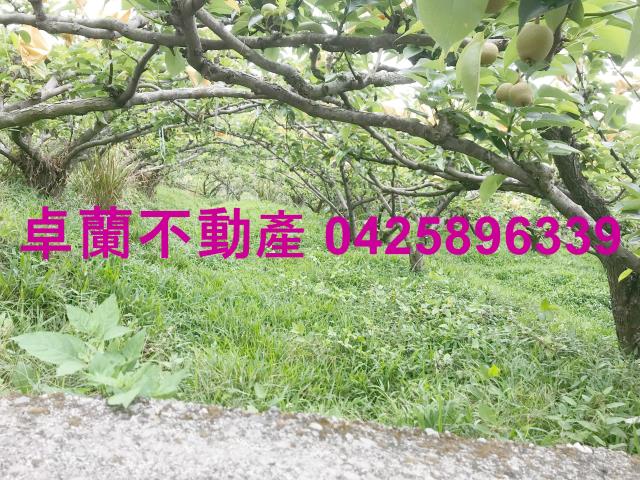 苗栗農地-9