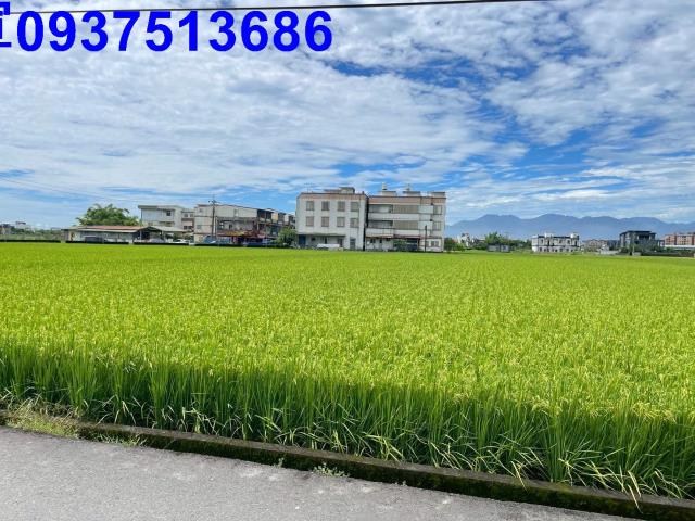 宜蘭農地-7