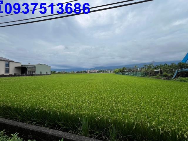 宜蘭農地-5