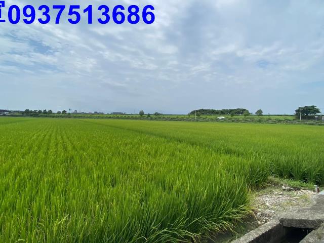 宜蘭壯圍農地-9