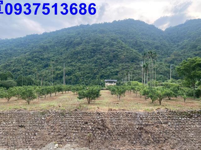 宜蘭員山農地-3