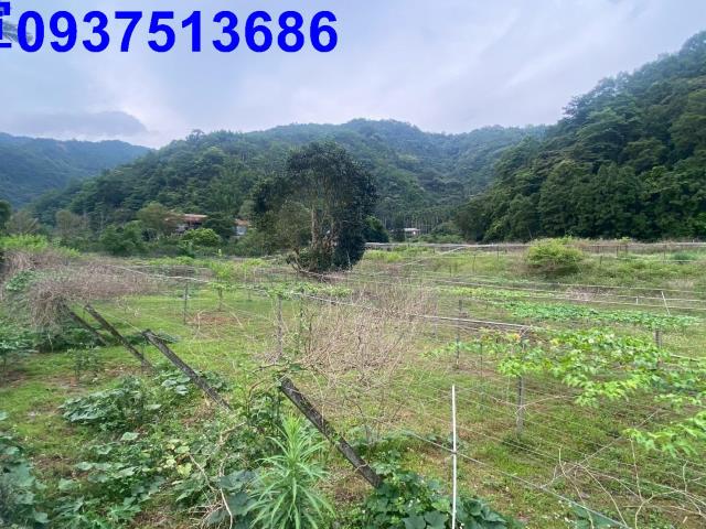 宜蘭員山農地-10
