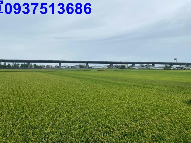 宜蘭礁溪農地-10