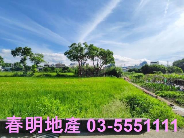 新竹東區農地-1