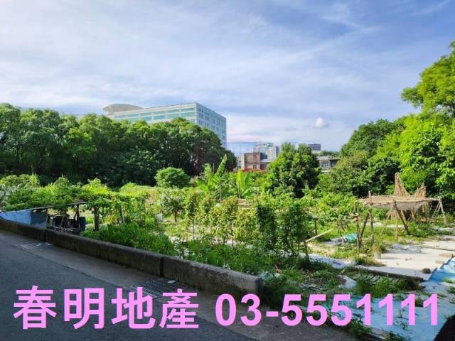 新竹東區農地-8