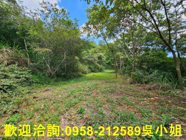 新竹關西山坡地-10