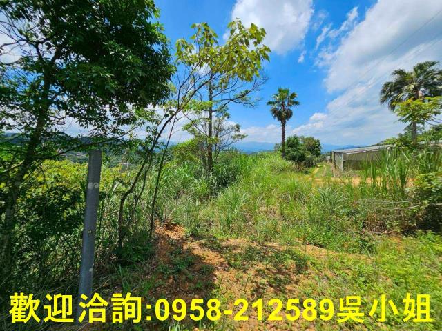 新竹關西山坡地-11