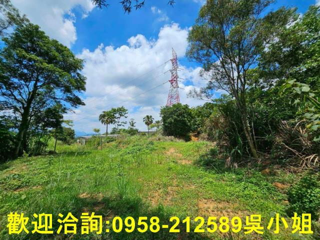 新竹關西山坡地-14
