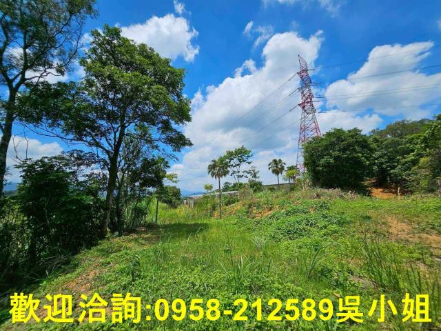 新竹關西山坡地-15