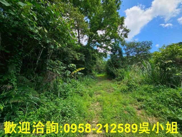 新竹關西山坡地-2