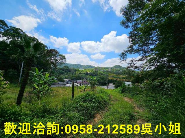 新竹關西山坡地-3