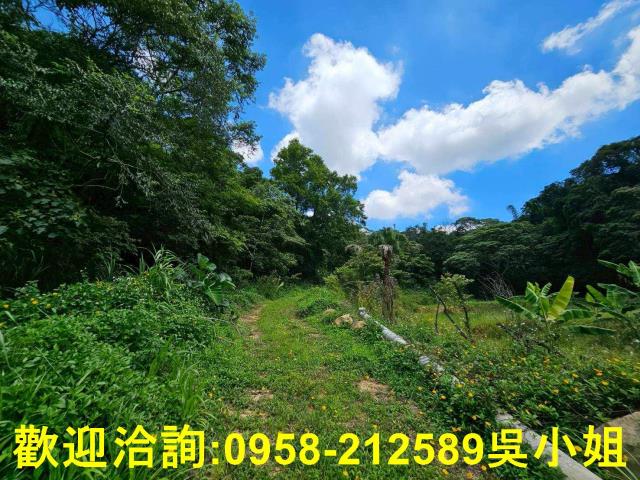 新竹關西山坡地-4