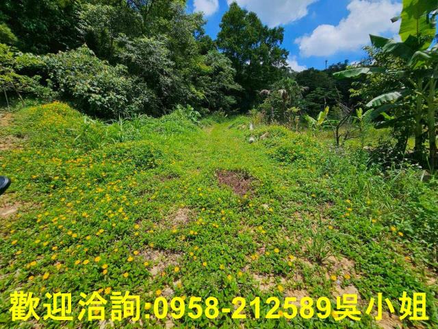 新竹關西山坡地-6
