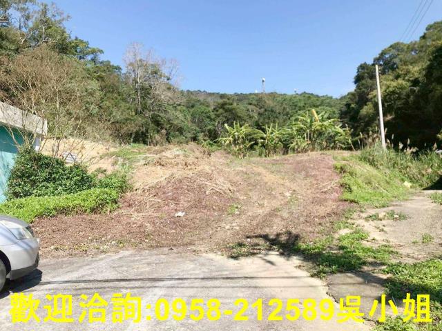 新竹關西山坡地-7
