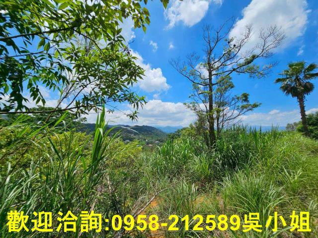 新竹關西山坡地-9