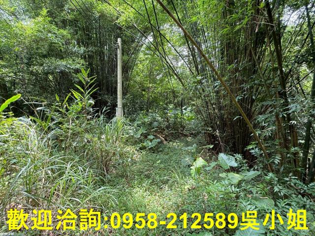 新竹峨眉山坡地-1