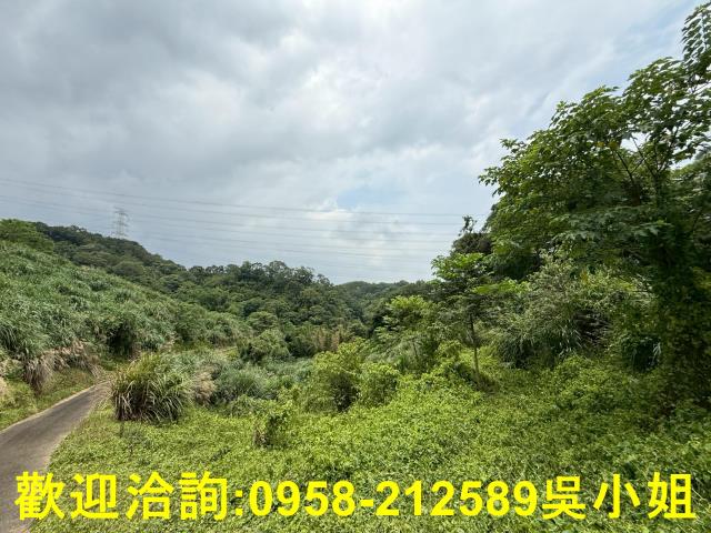 新竹峨眉山坡地-4