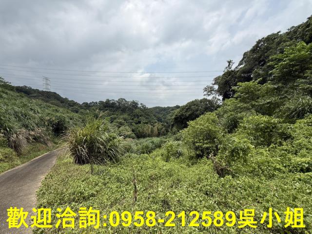 新竹峨眉山坡地-7