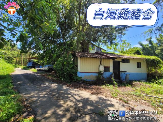 台南白河農地-1