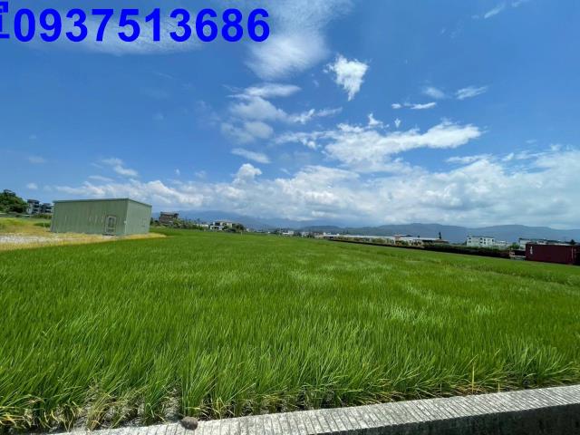 三星農地-2