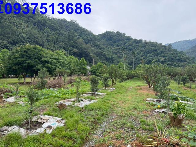 員山農地-5