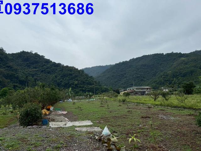 員山農地-9