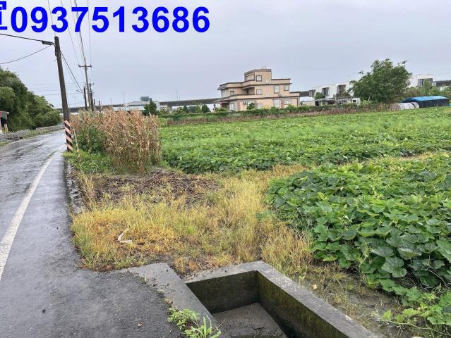 五結農地-7