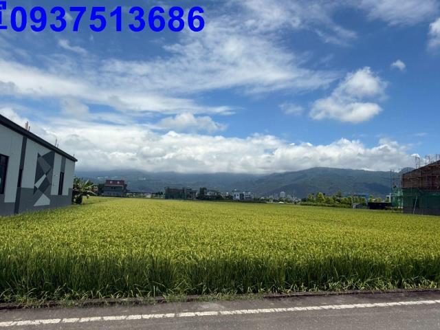 礁溪農地-6