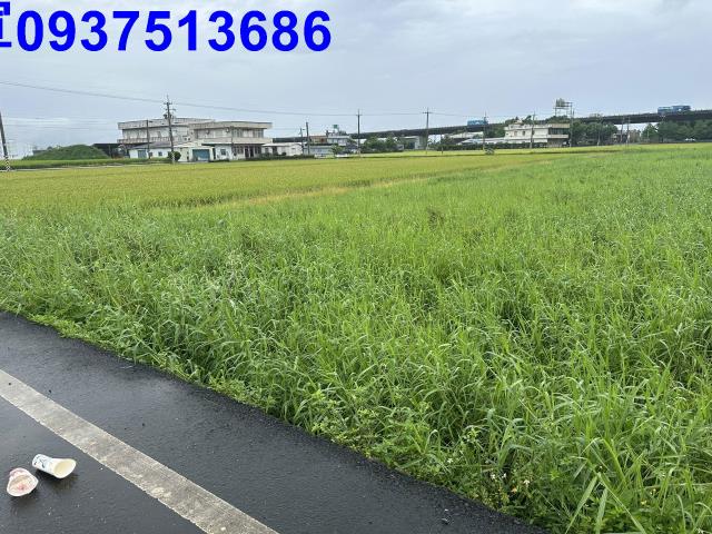 礁溪農地-3