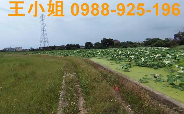桃園區農地-2