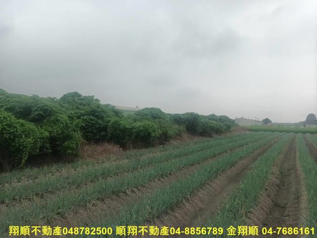 芳苑農地-3