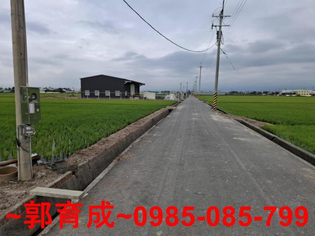大林農地-1