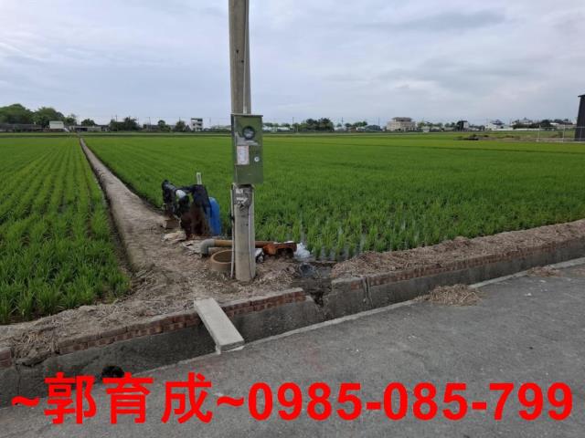 大林農地-2