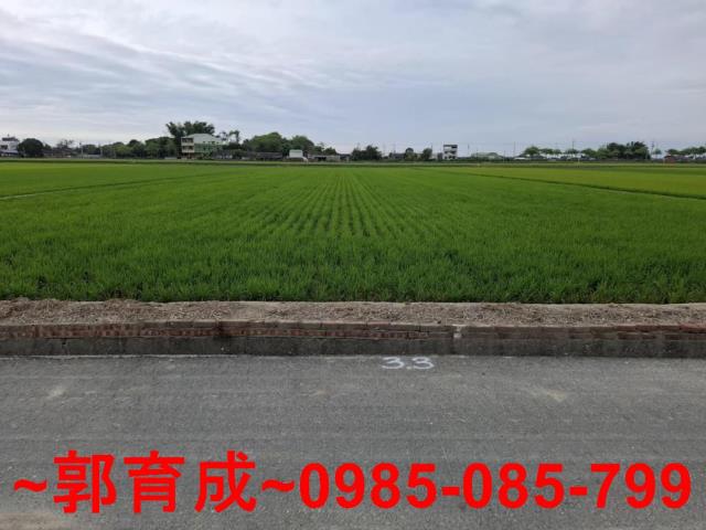大林農地-5