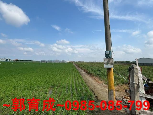 六腳農地-4