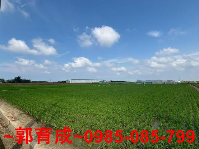 六腳農地-5