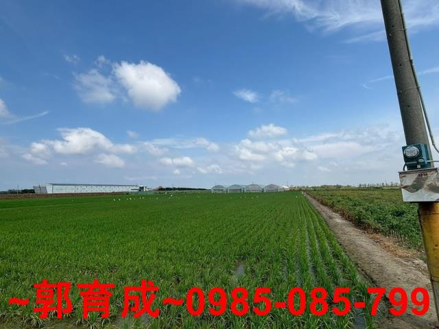 六腳農地-6