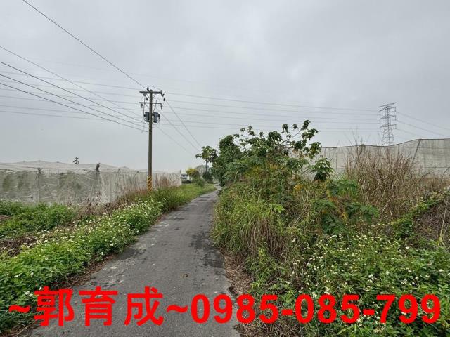 嘉義農地-4