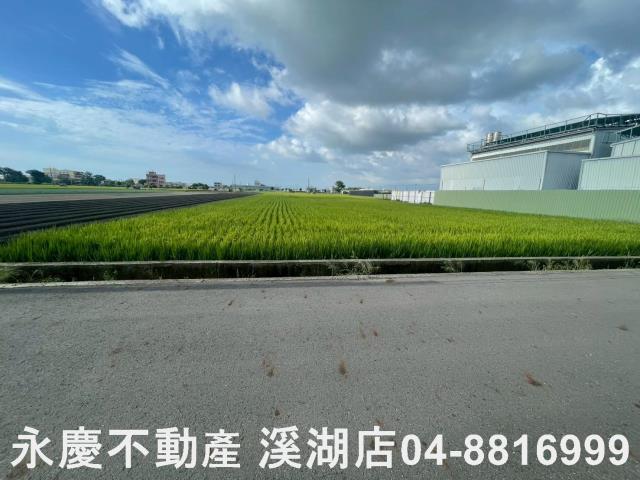 彰化農地-3