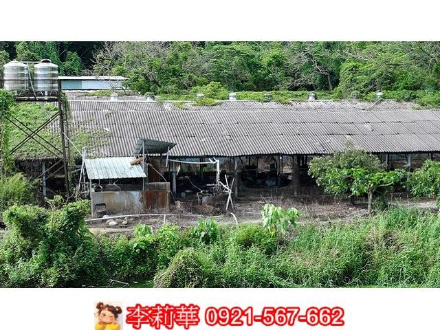 台南農地-3