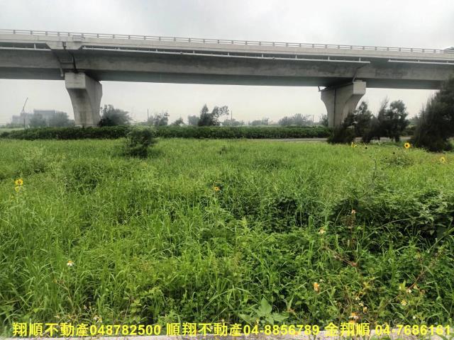 彰化芳苑農地-11