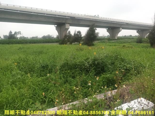 彰化芳苑農地-12