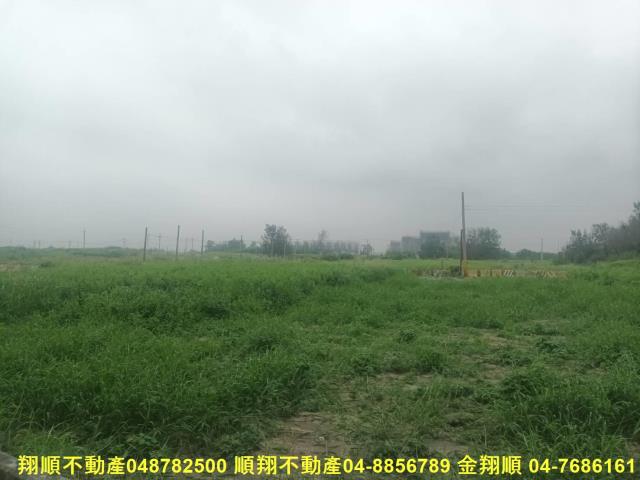 彰化芳苑農地-2