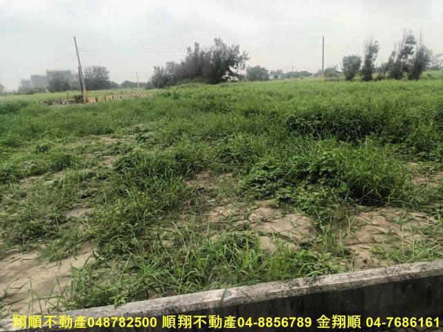 彰化芳苑農地-3